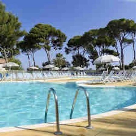 La Baleine Verte Villa Калвисон Екстериор снимка